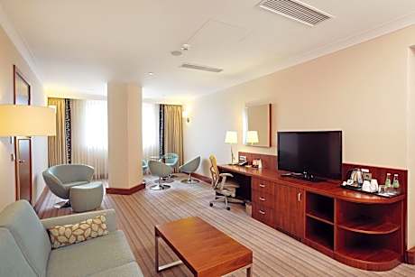 One-Bedroom King Suite