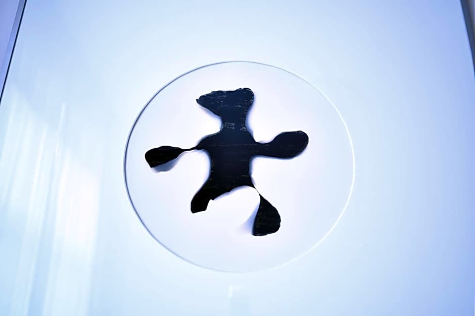 Art-Hotel Robert Mayer