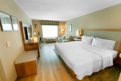 1 King W/Sofabd/Microwv/Fridge