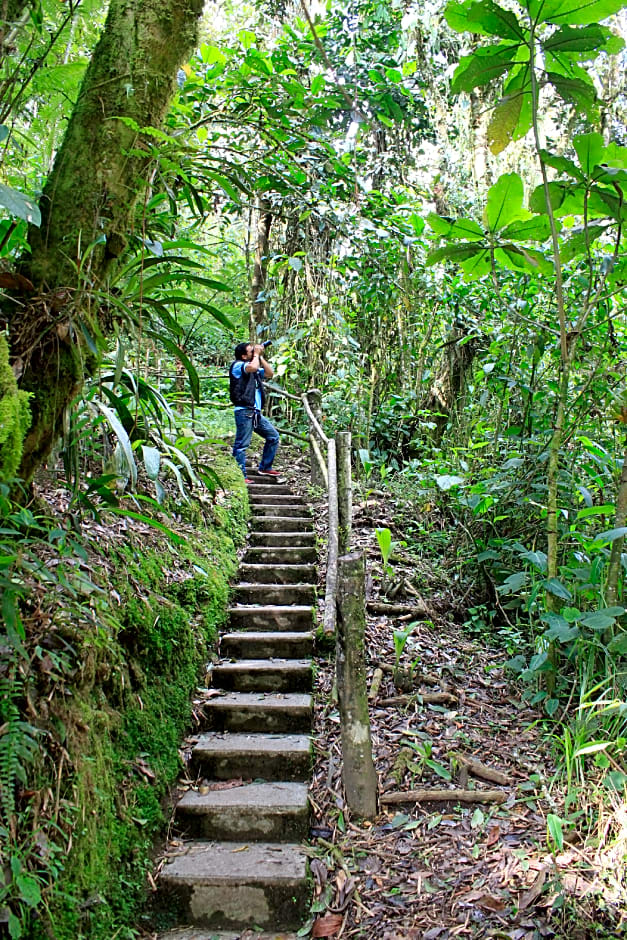 Estelar Recinto del Pensamiento