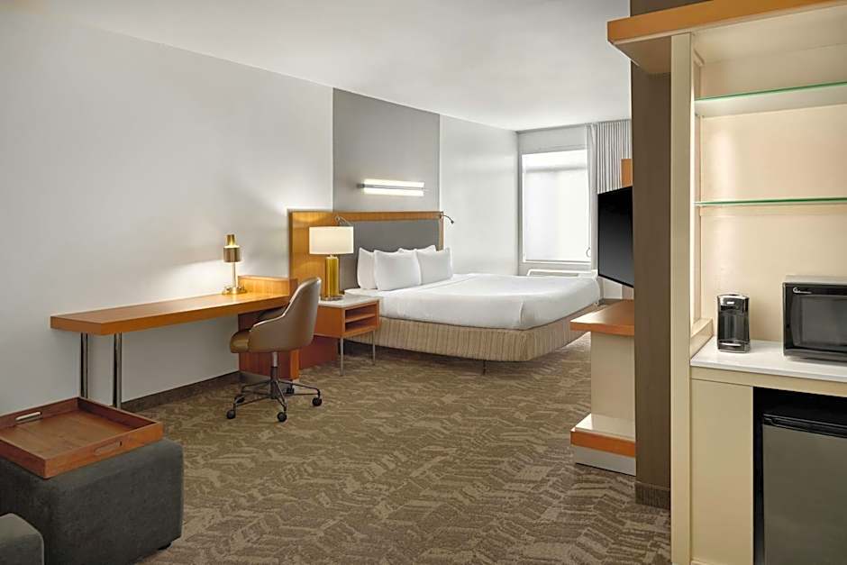 SpringHill Suites by Marriott Detroit Metro Airport Romulus