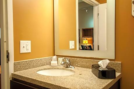 Suite, 1 Bedroom (1 Queen Bed and 1 Double Sofa Bed)