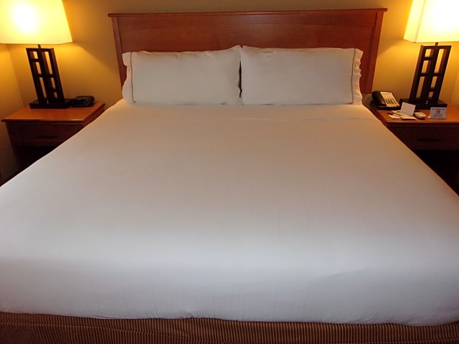 Holiday Inn Express & Suites Chicago West-Roselle By IHG