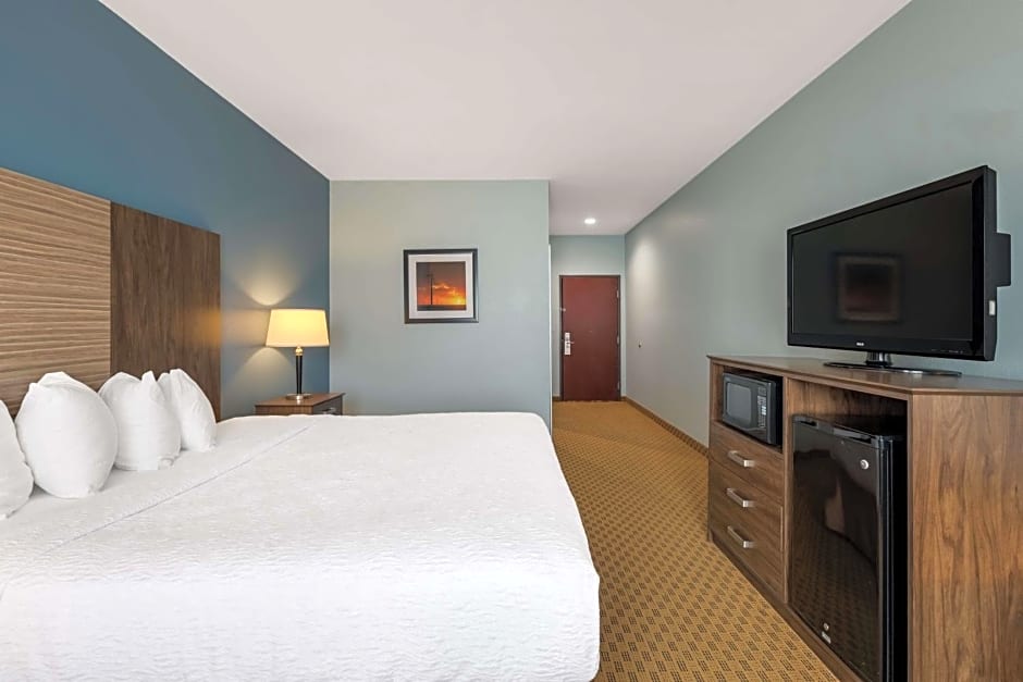 Best Western South Plains Inn & Suites