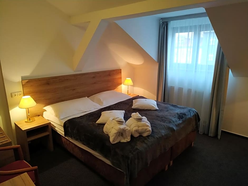 Anna SPA & Wellness Hotel Nejdek