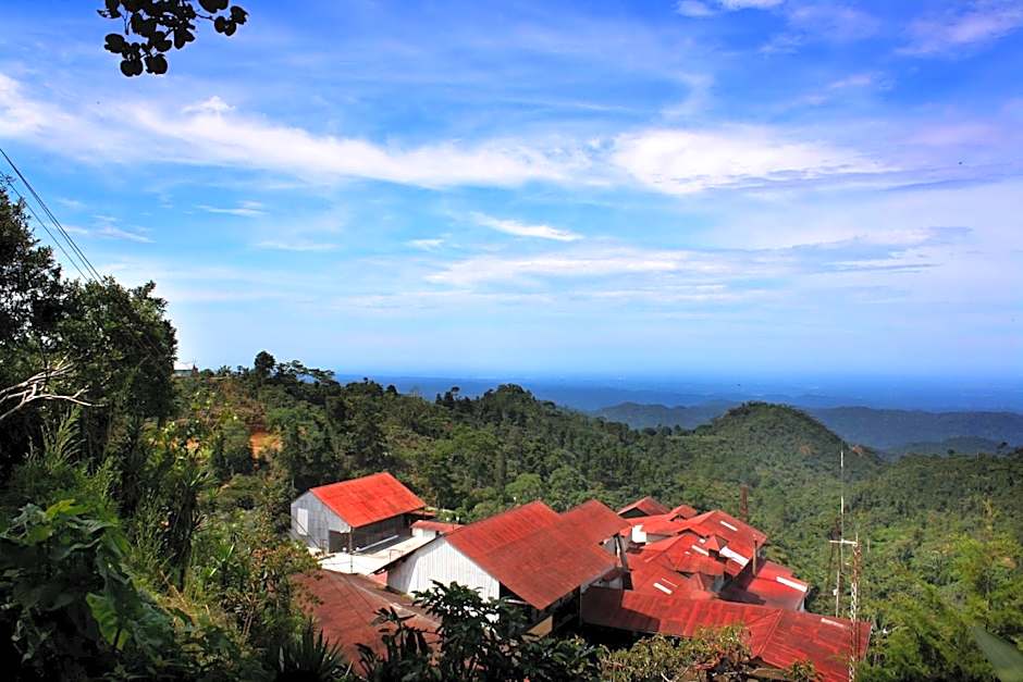 Finca Hamburgo La Ruta del Cafe