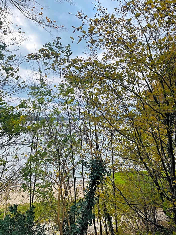 Restaurant Seeblick direkt am Schweriner See