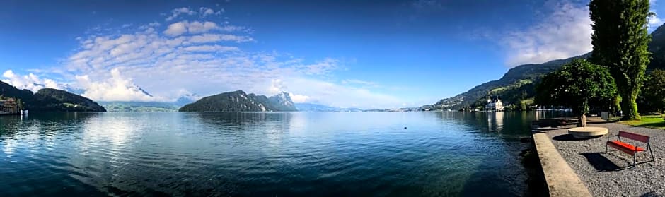 Hotel Rigi Vitznau