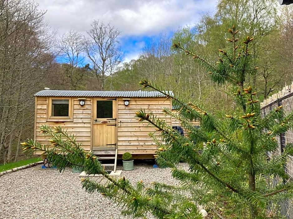 Highland Bear Lodge & Luxury Bear Huts