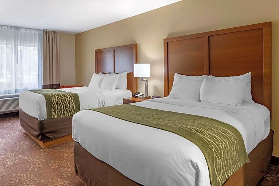 Comfort Inn Okemos