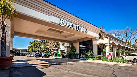 Best Western Plus Black Oak