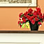 Hotel Suisse