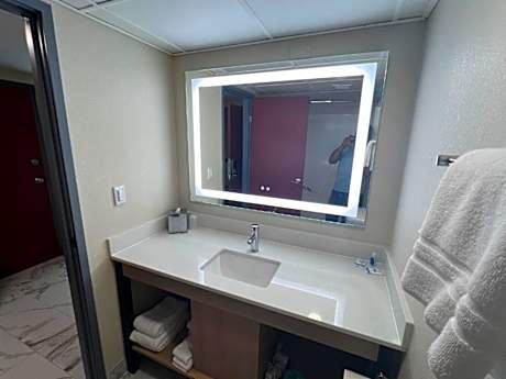 1 Queen Bed Mobility Accessible Room Non-Smoking