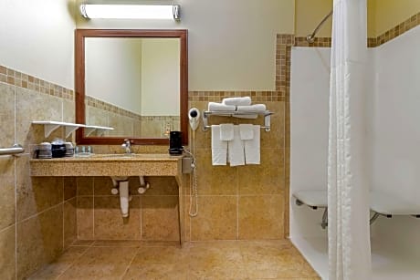 Accessible - 2 Queen Mobility Accessible Communication Assistance Roll In Shower Microwave And Refri