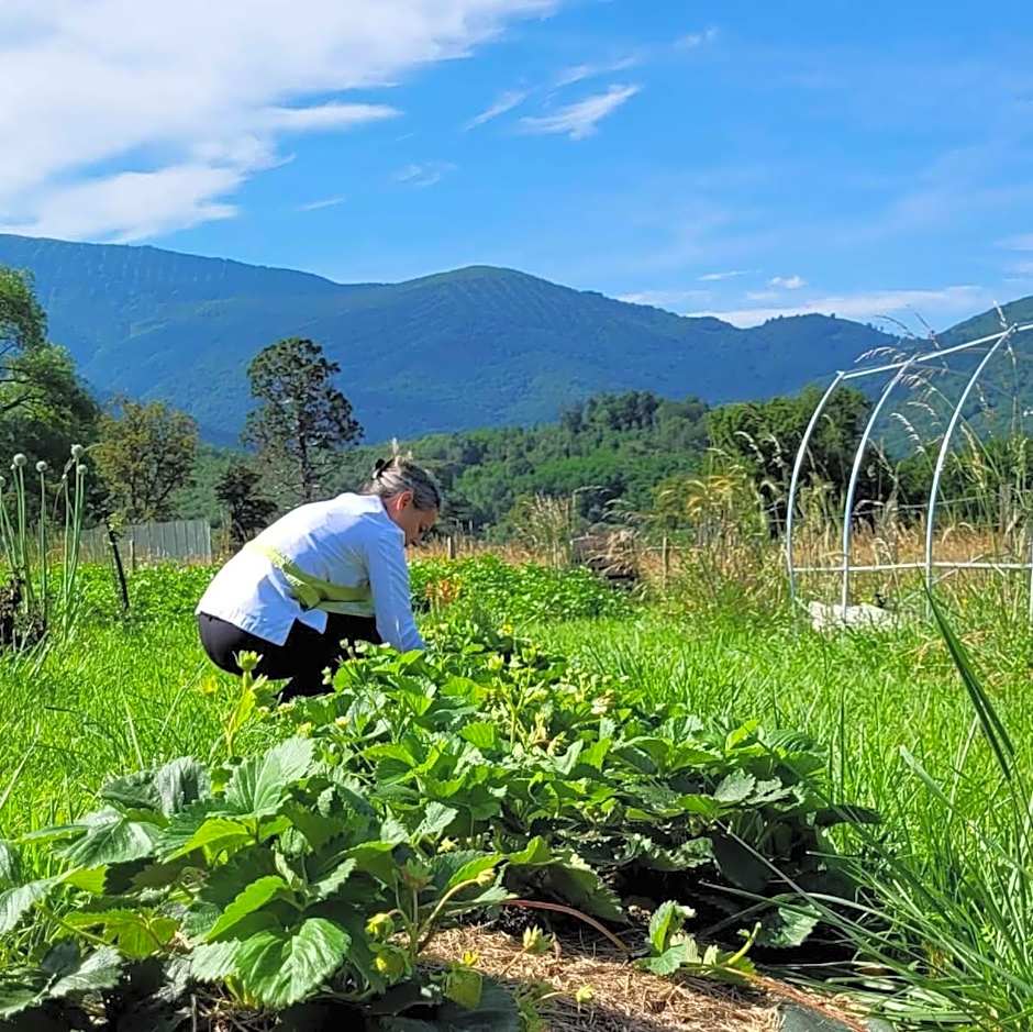 Le Clos Cathala Chambres d'Hôtes