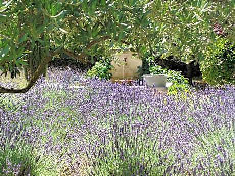 Clos des Lavandes - Chambres et Suites de charme climatisées-Luberon