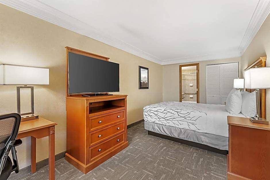 Best Western Plus Silver Saddle Inn