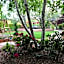 Casa Sedona Inn
