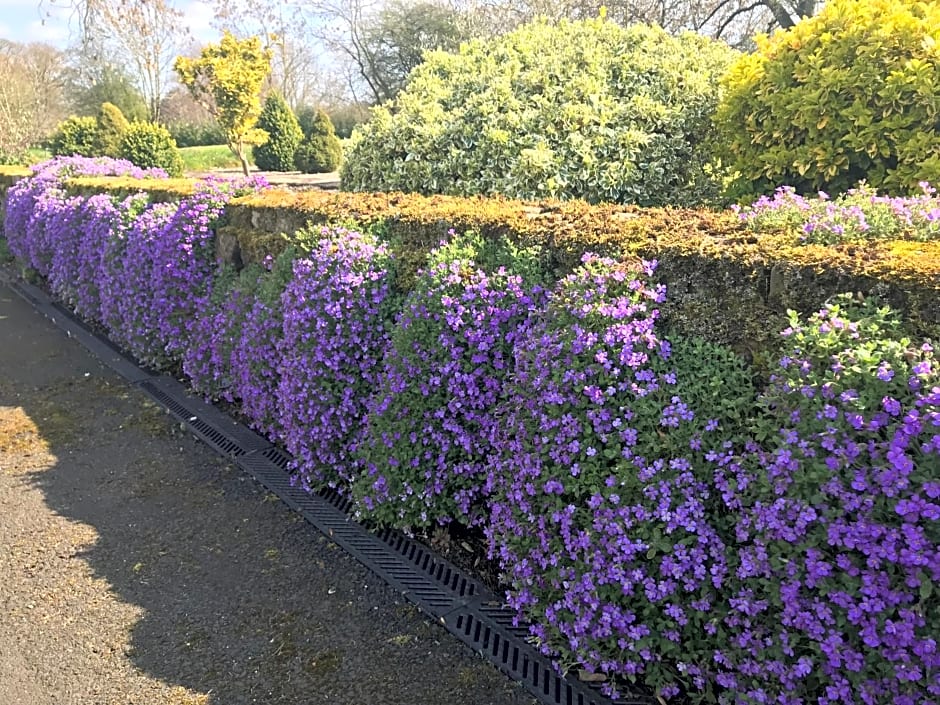 Dalton House Bed and Breakfast