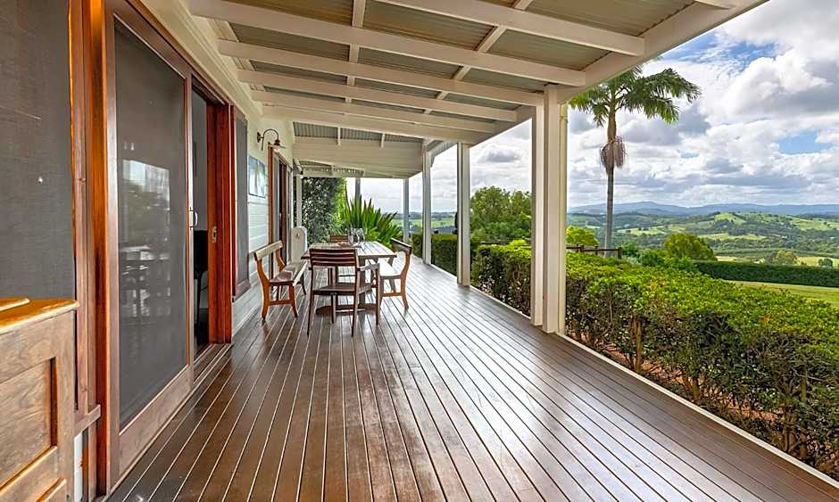 Cedia at Byron Bay Hinterland