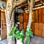 Meteora Stay & Coffeehouse Tulum