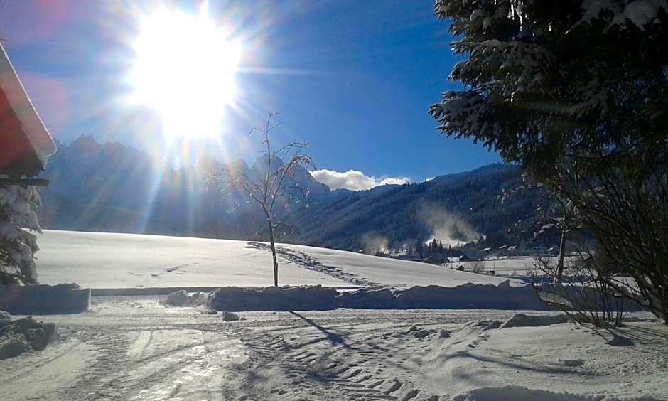 Hotel - Restaurant Gosauerhof