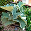 B&B Villa Di Giorgi