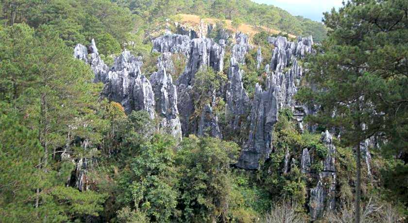 Sagada Younganaut Lodge