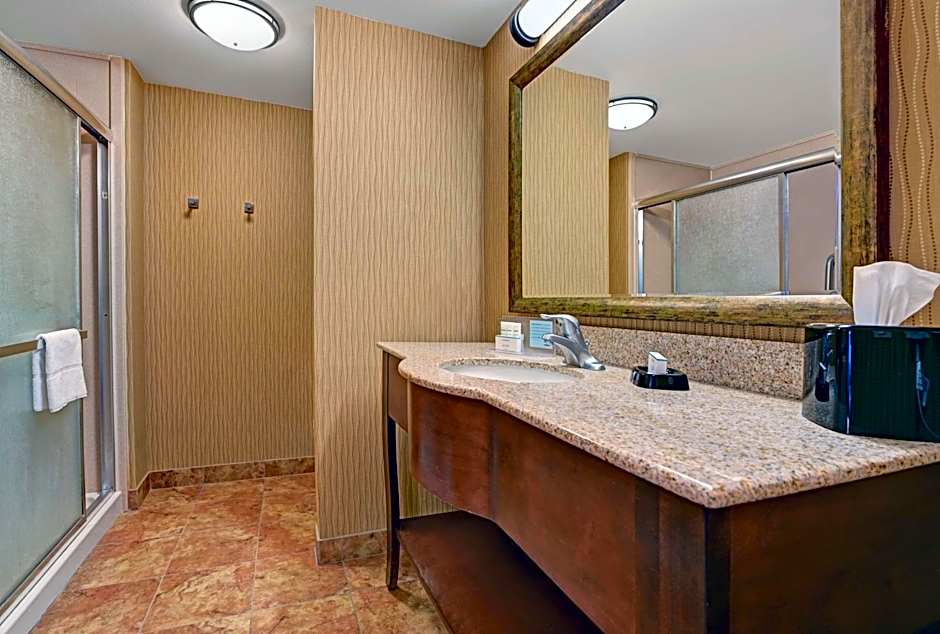 Hampton Inn By Hilton Deming