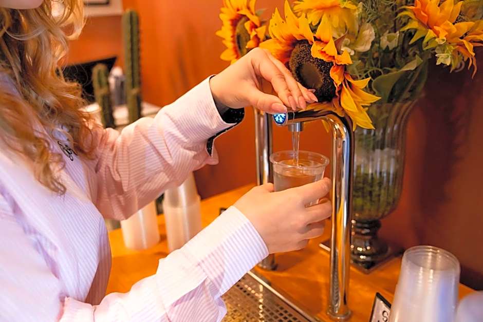 Garner Hotel Dublin Temple Bar By IHG