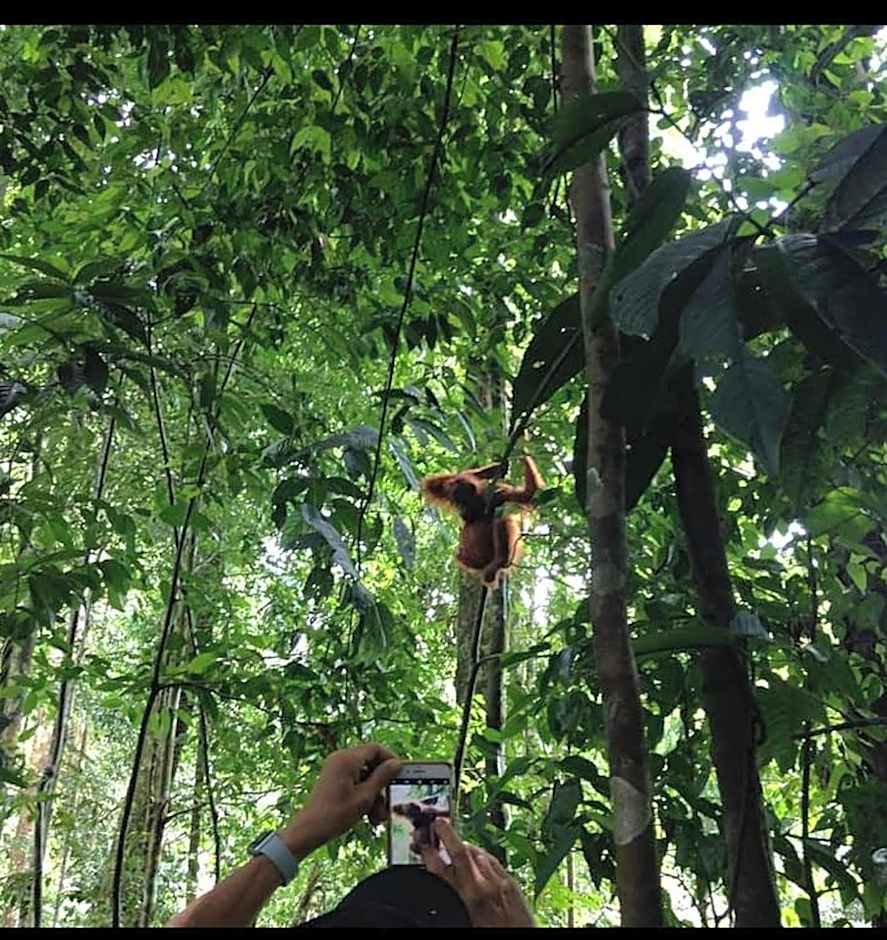 Asim Paris Guesthouse & jungle trekking