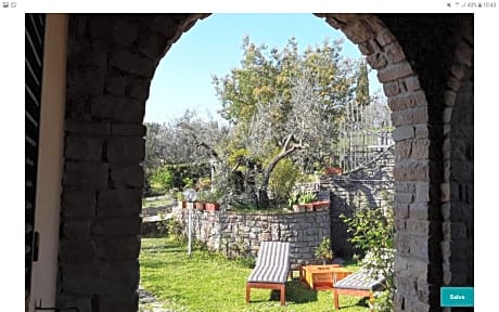 La collina degli olivi