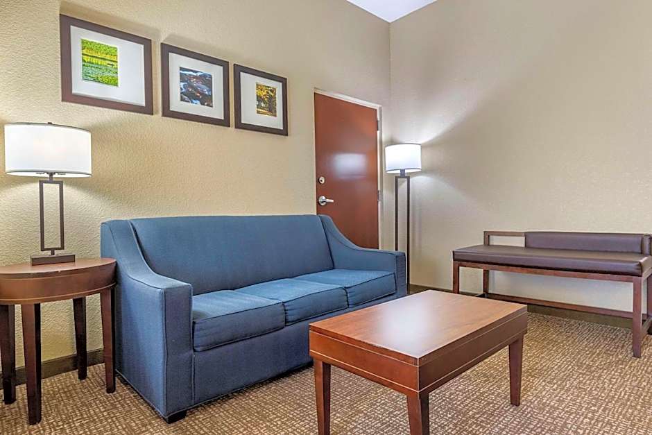 Comfort Inn and Suites Mocksville I 40