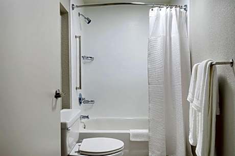 Studio with Two Queen Beds and Sofa Bed