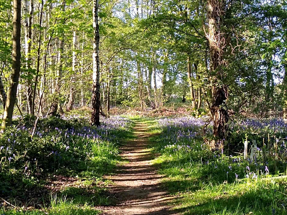 Hollicarrs - Lilypad Lodge