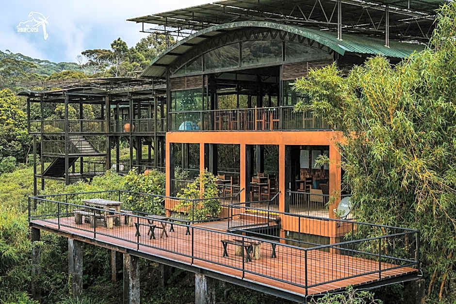 The Rainforest Ecolodge