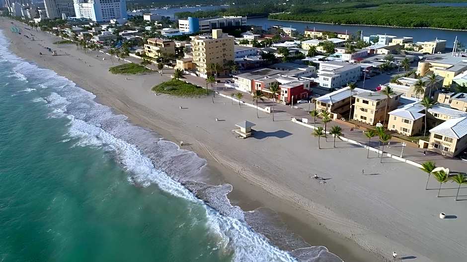 The Palms