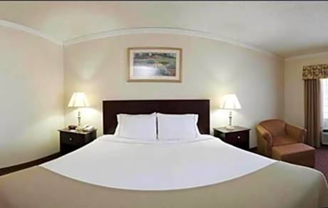 1 King Standard Comm Access