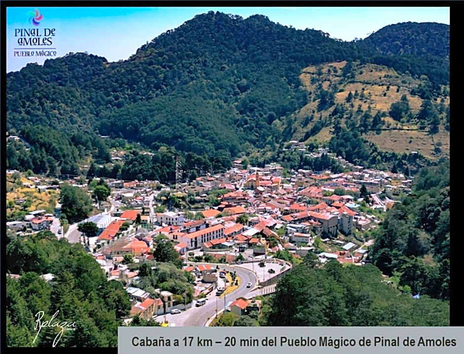 Mariposa - Cabañas Puerto del Zopilote