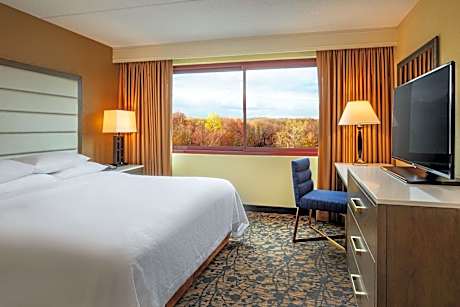 Two-Room King Suite - Non-Smoking