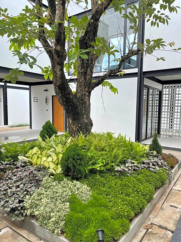 The Gold Living Life