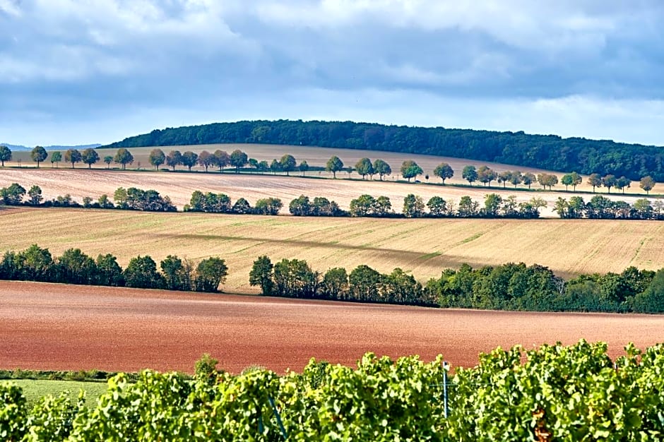 Dohlmühle Hotel & Weingut