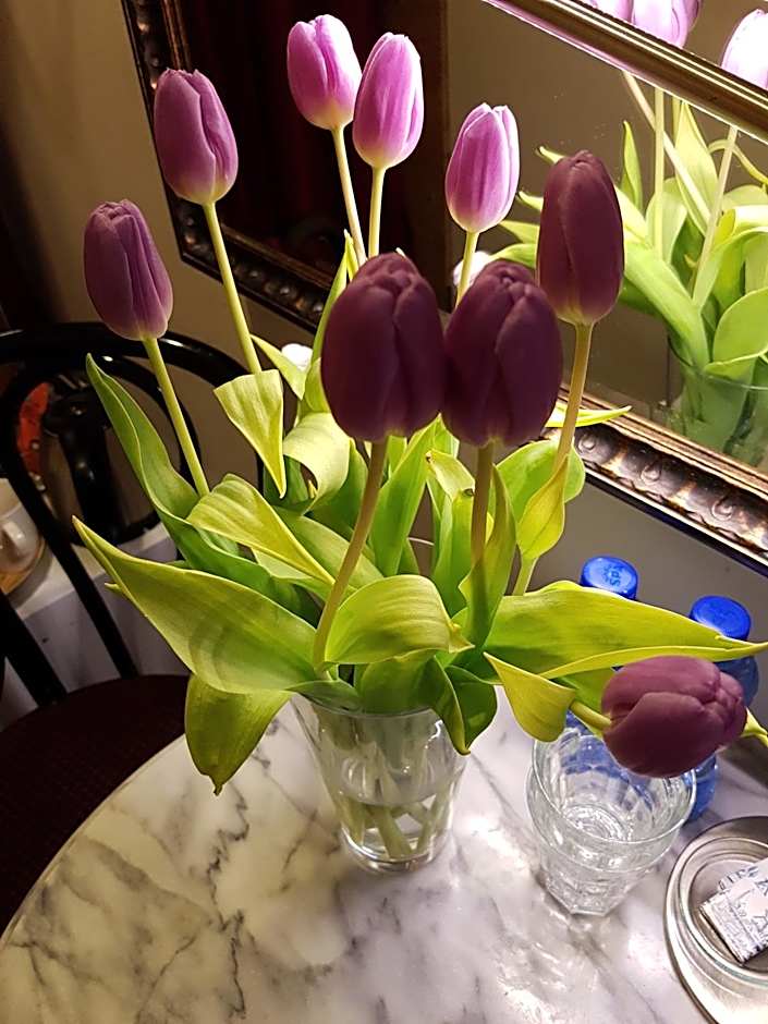 B&B Wladimir Studios