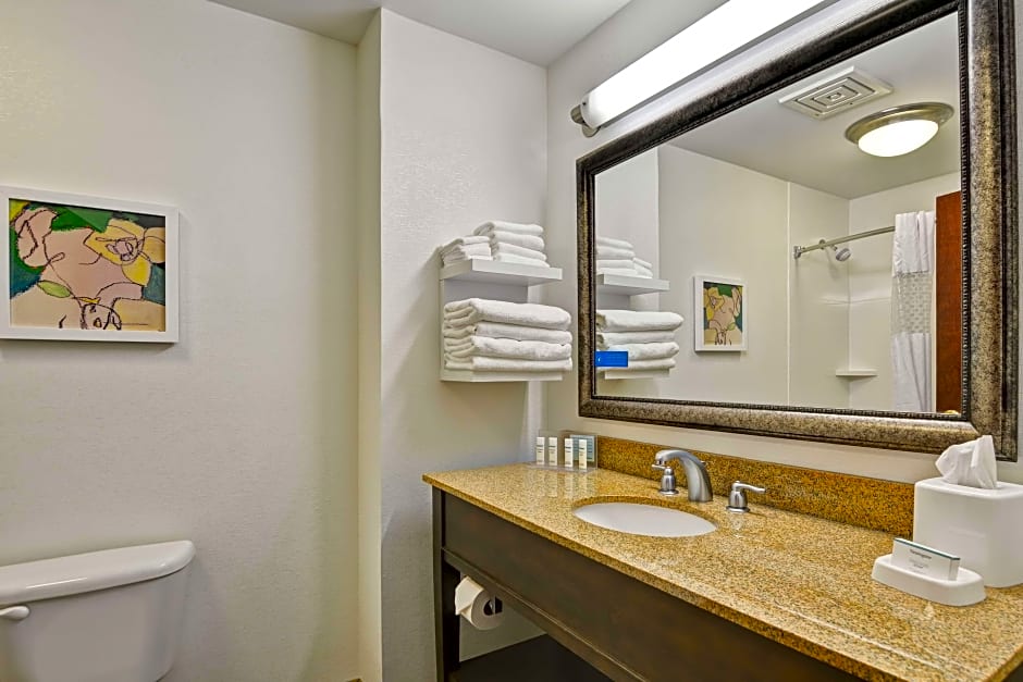 Photo 1 of 5 of Larger 1 King Bed Suite