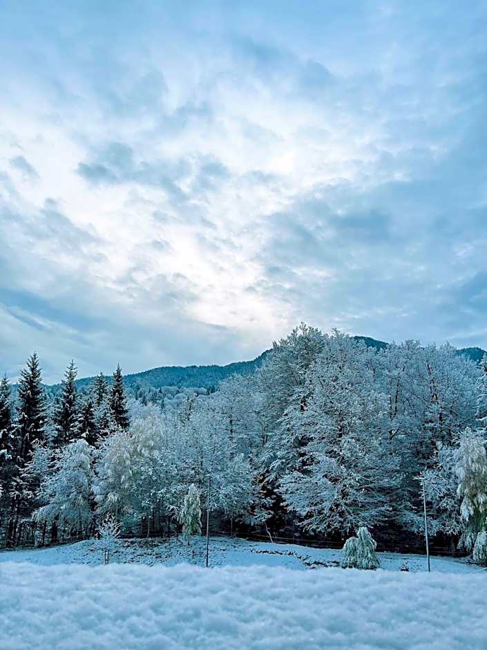 Mountain Nest in Silver Mountain Poiana Brasov