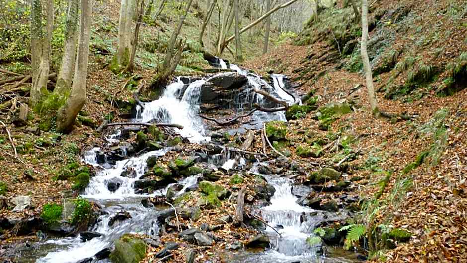 Landhaus Gräfendhron