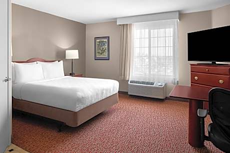 Studio Suite with Queen Bed