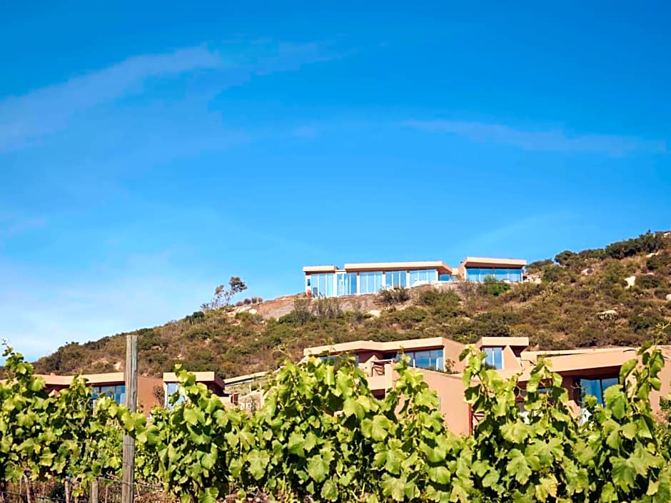 Banyan Tree Veya, Valle de Guadalupe