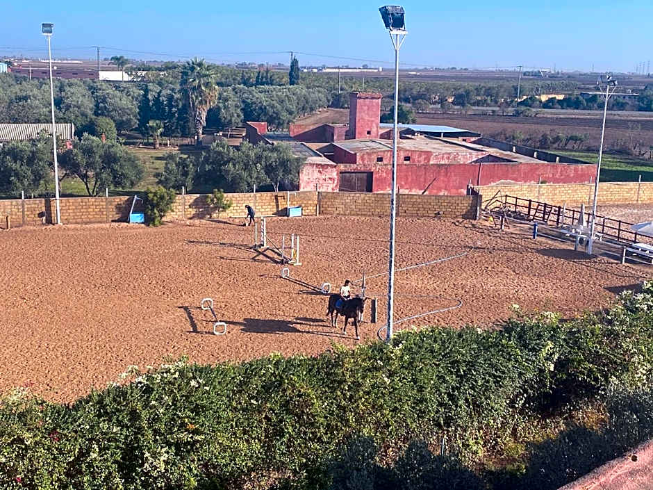 Equi Palace & SPA Near Aeroport