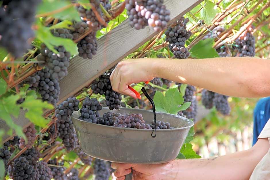 Casa Maria Apartments